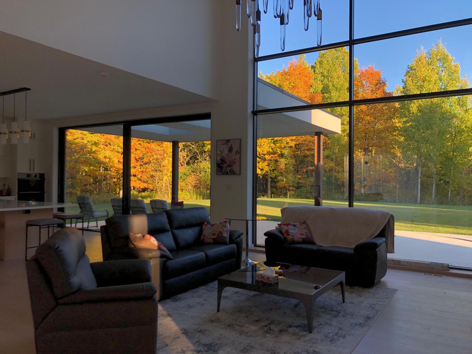 Spotless windows by Stingray Cleaning